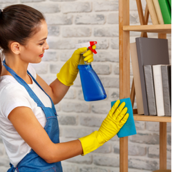 Cleaning Services